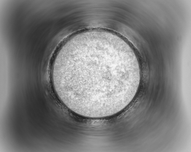 X0000096410832200801241219