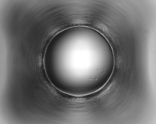 X0000096410833200801241219
