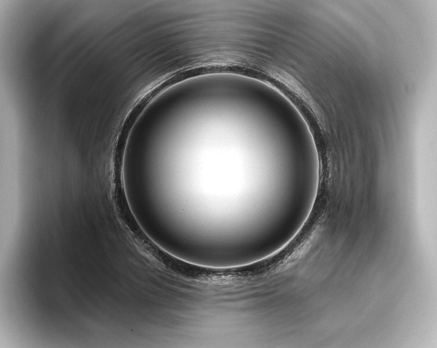 X0000096410834200801241219