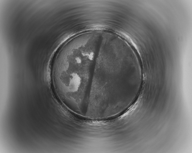 X0000096410835200801241219