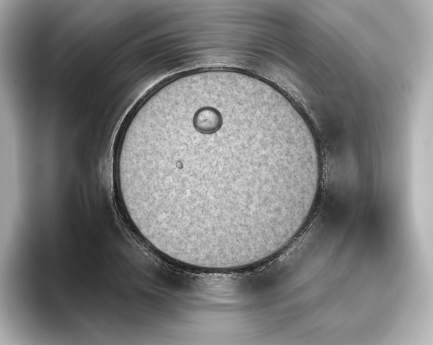X0000096410836200801241219