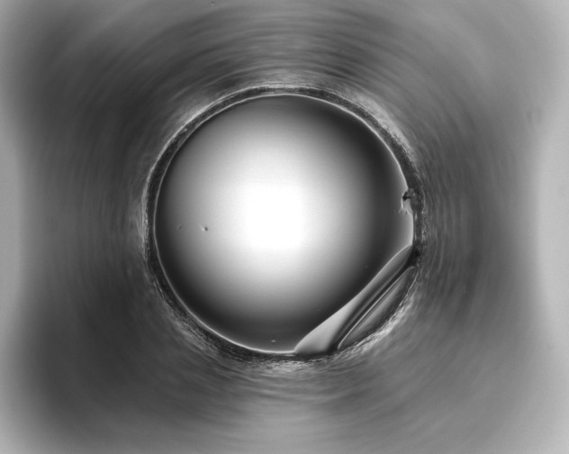 X0000096410837200801241219