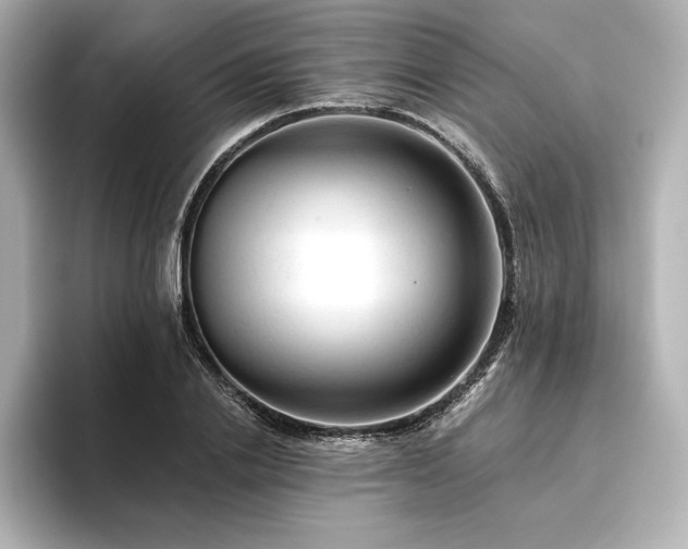 X0000096410838200801241219