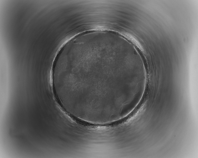 X0000096410839200801241219