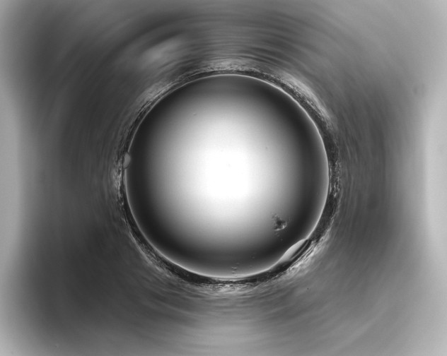 X0000096410841200801241219