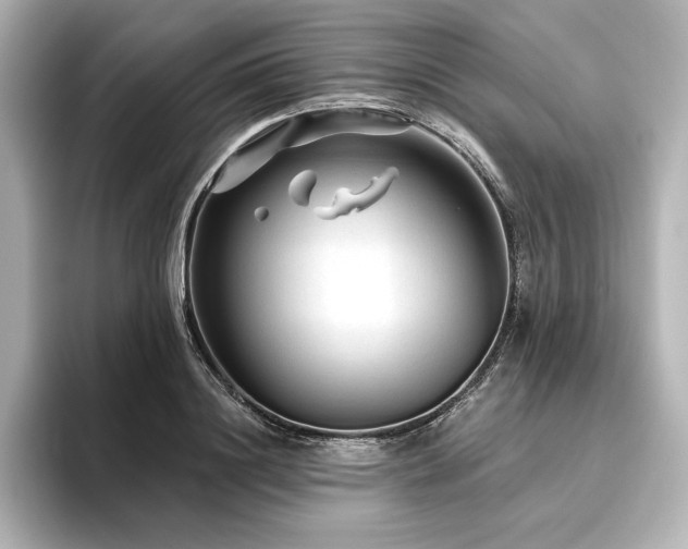 X0000096410844200801241219