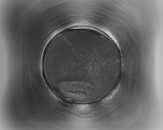 X0000096410845200801241219