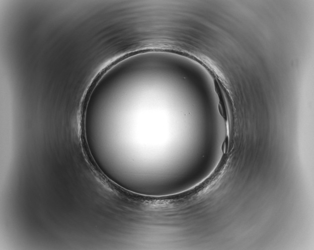 X0000096410846200801241219