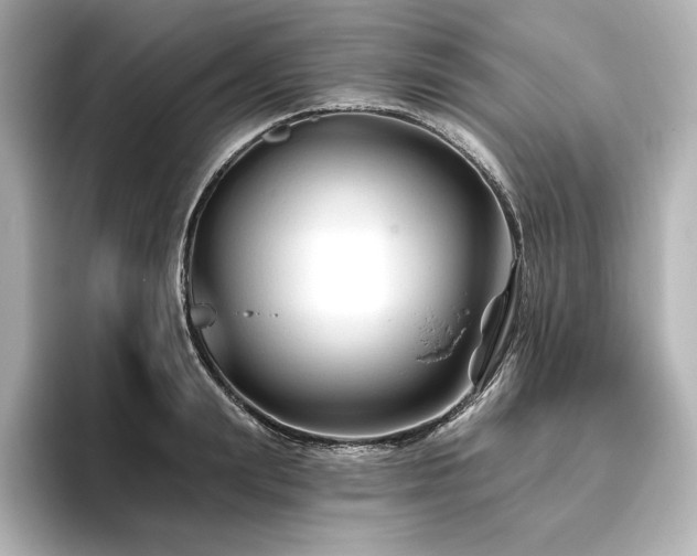 X0000096410847200801241219