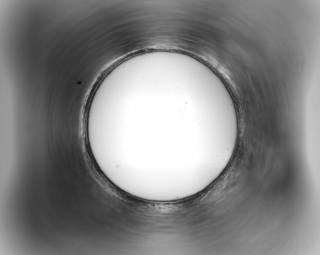 X0000096410848200801241219