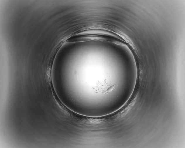 X0000096410849200801241219