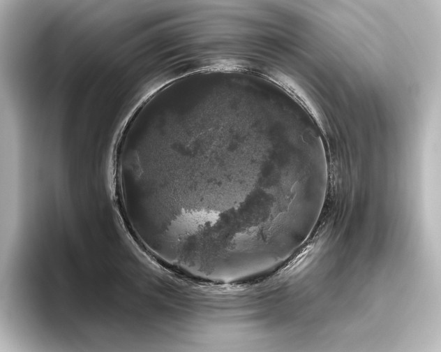 X0000096410851200801241219