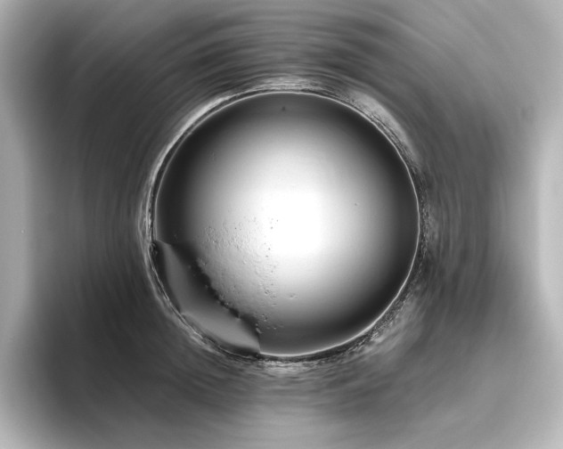 X0000096410852200801241219