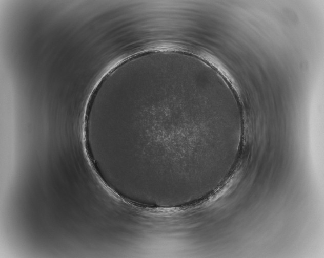 X0000096410853200801241219