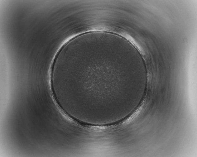 X0000096410854200801241219