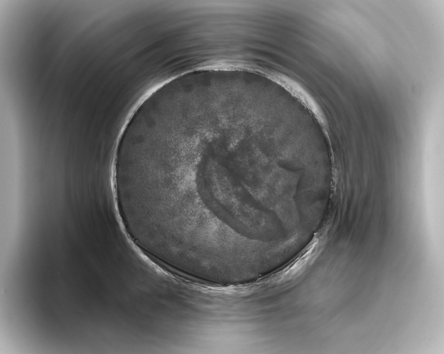 X0000096410855200801241219