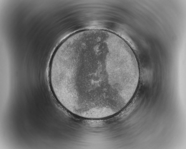 X0000096410856200801241219