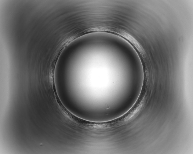X0000096410857200801241219