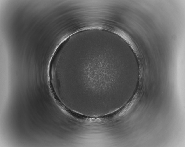 X0000096410858200801241219