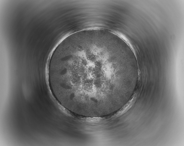 X0000096410859200801241219