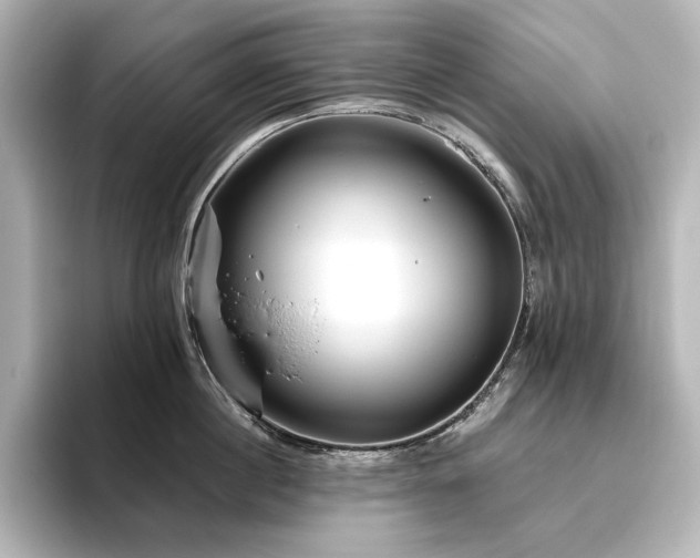 X0000096410860200801241219