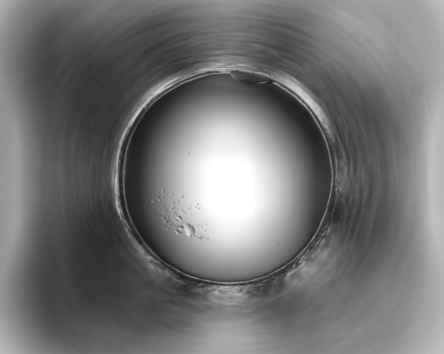 X0000096410861200801241219