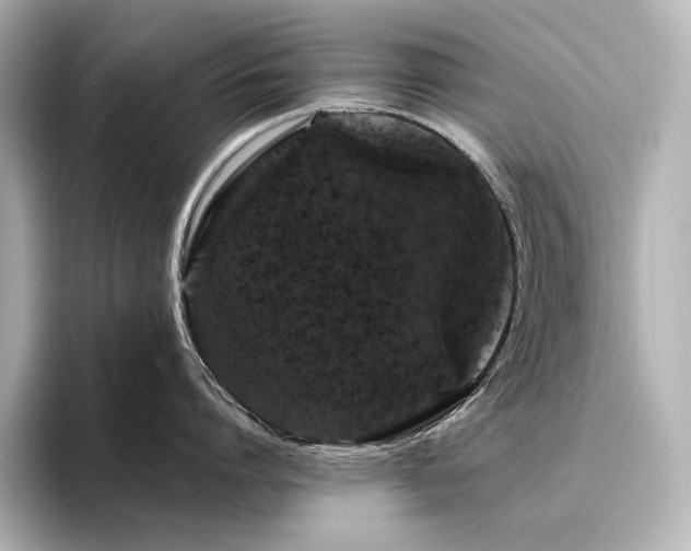 X0000096410864200801241219