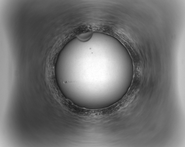 X0000096410865200801241219
