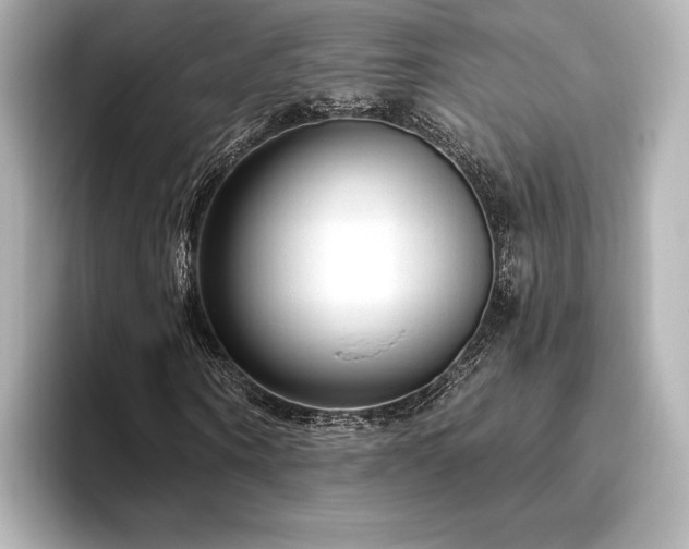 X0000096410866200801241219