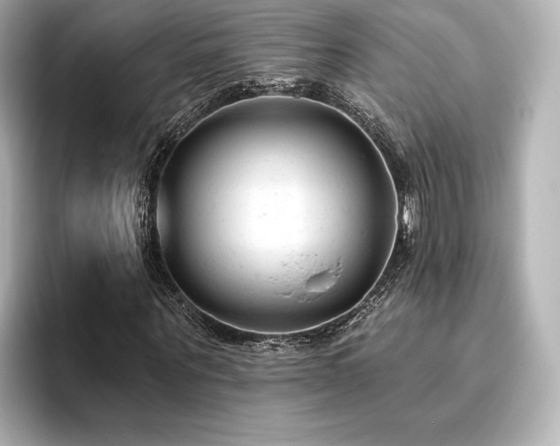 X0000096410867200801241219