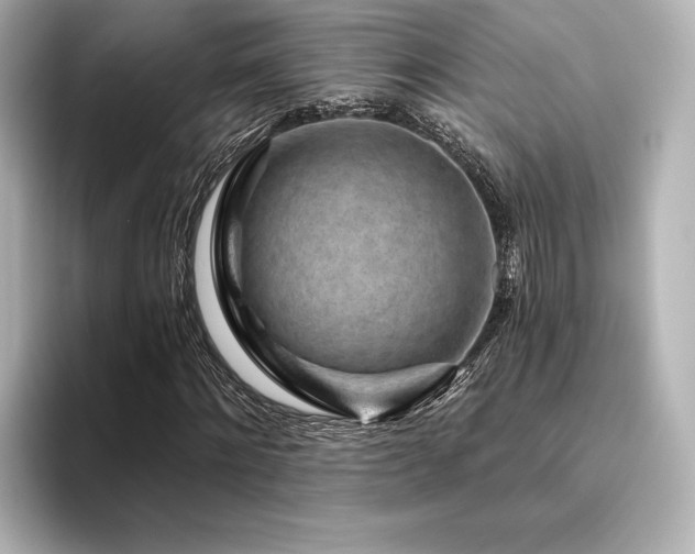 X0000096410868200801241219