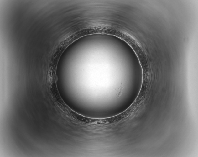 X0000096410869200801241219