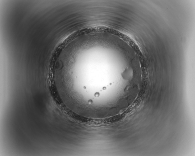 X0000096410871200801241219