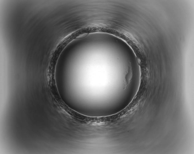 X0000096410872200801241219