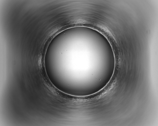 X0000096410873200801241219