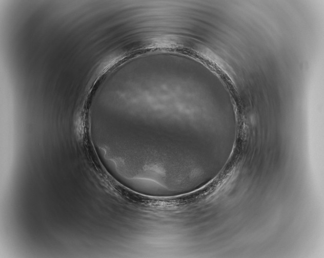 X0000096410874200801241219
