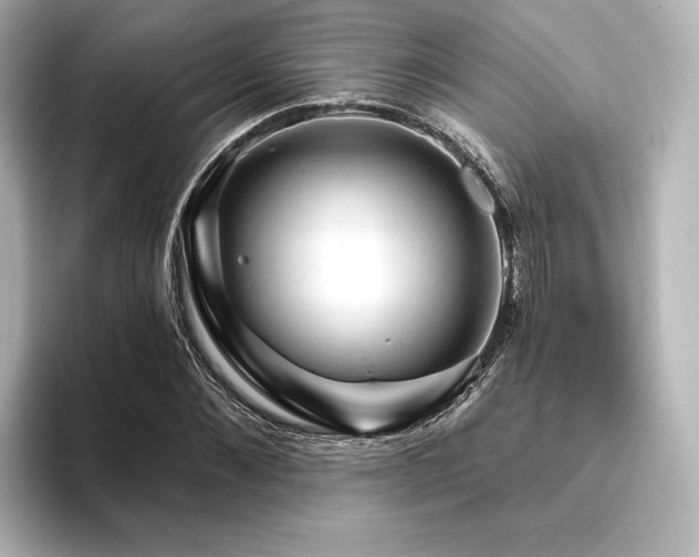 X0000096410876200801241218