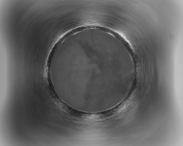 X0000096410879200801241218