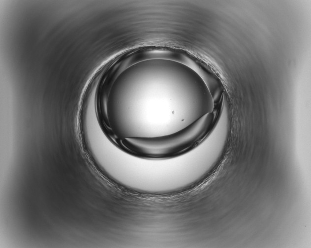 X0000096410880200801241218