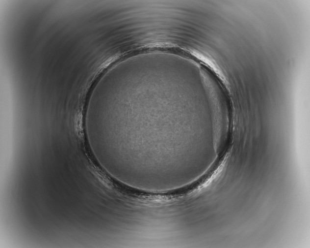 X0000096410881200801241218