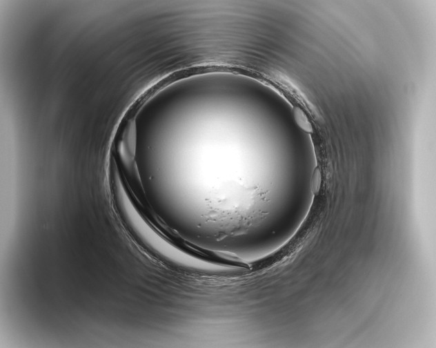 X0000096410884200801241218