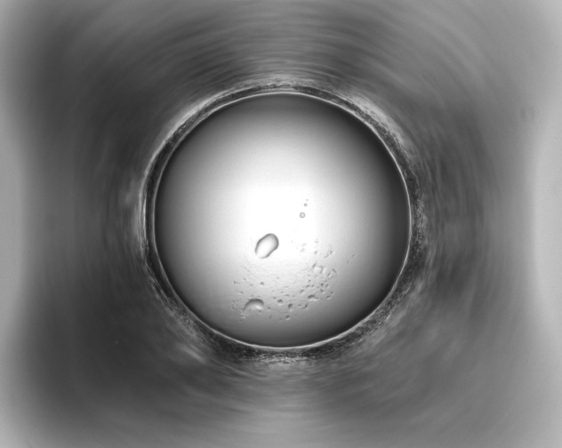 X0000096410886200801241218