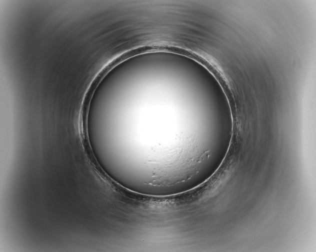 X0000096410887200801241218