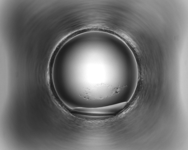 X0000096410888200801241218