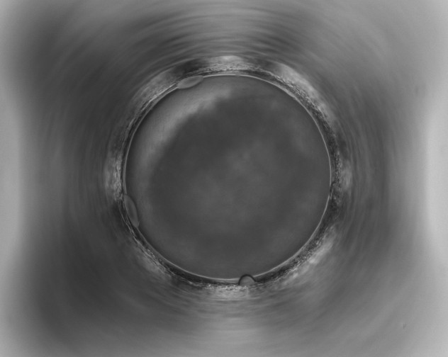 X0000096410889200801241218