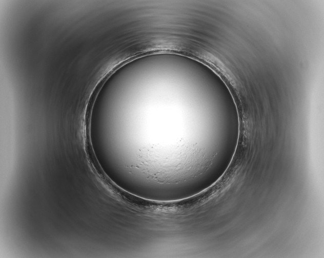 X0000096410890200801241218