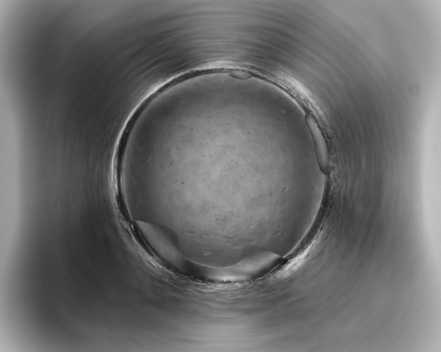 X0000096410892200801241218