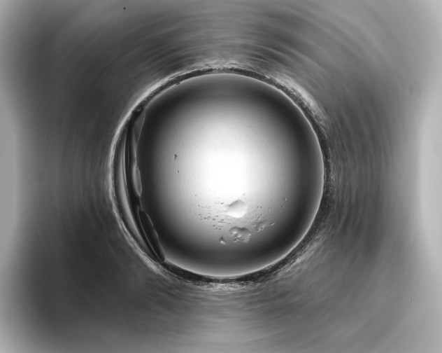 X0000096410894200801241218