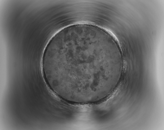 X0000096410895200801241218