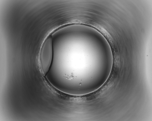 X0000096410896200801241218